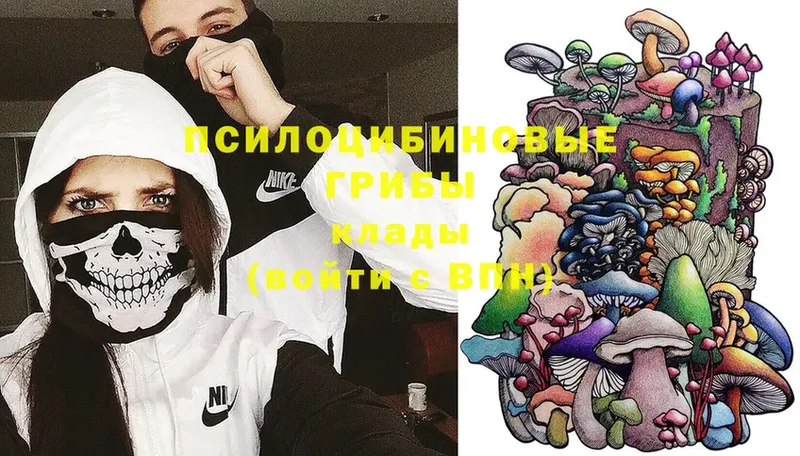 Псилоцибиновые грибы Magic Shrooms  Кызыл 